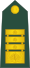 20-Slovenian Army-LG.svg