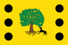 Флаг