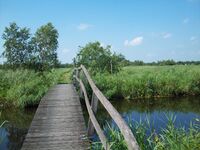 De Alde Feanen - 4.jpg
