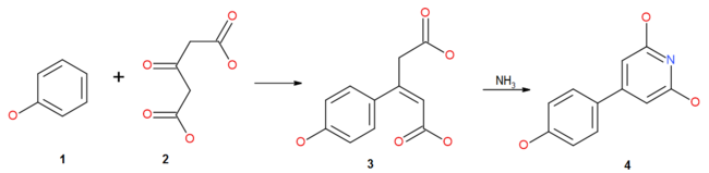 Glutaconic-Acids&Pyrifines-from-ADA.png