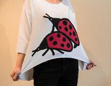 Ladybugs Spring.jpg