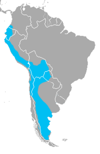 Leopardus pajeros range.png