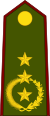 Paraguay-Army-OF-8.svg