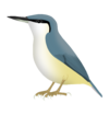 Sitta neumayer png.png