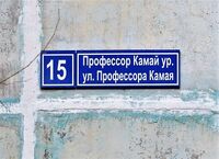 Табличка улица Профессора Камая (нормативно для обоих вариантов).jpg