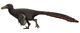 Adasaurus Restoration.jpg