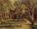 Cézanne - FWN 14-TA.jpg
