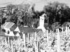 Chaumont-le-Bois.jpg