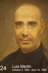 Gemälde - Luis Martin SJ.jpg