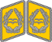 Luftwaffe collar tabs Oberstleutnant 3D.svg