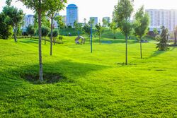 Mərkəzi park 1.jpg