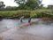 Poaching of a salmon at the Far East river.JPG