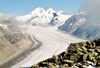 Aletschgletscher.jpg