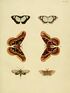 Cramer&Stoll-uitlandsche kapellen vol. 1- plate 075.jpg