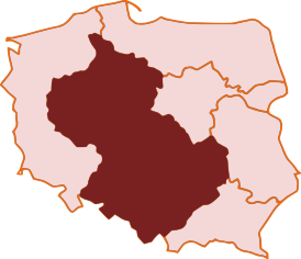 Diecezja łódzko-poznańska PAKP (2014).svg