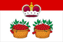 Flag of Yuryev-Polsky district.png