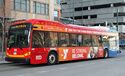 Free MallRide bus 2018—2.JPG