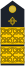 Naramenica ljetne odore admirala flote HRM.svg