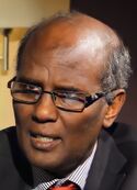 Prof. Maxamed Cabdi Gaandi.jpg
