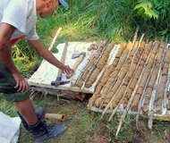 Егор смотрит керн.jpg