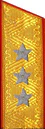 погон 1955
