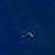 Fatu Huku - image satellite Landsat7 - 2000.jpg