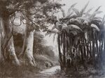 Forêt tropicale (Camille Pissarro), 1856.jpg