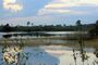 Gfp-florida-st-sebastain-river-state-park-lake-landscape.jpg
