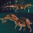 Iberospinus life reconstruction.png