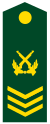 PLA Chief Sergeant Class 2.svg