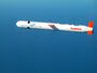 Tomahawk Block IV cruise missile.jpg