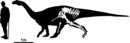 Tuebingosaurus.jpg
