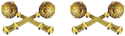 Емб ген адм (2016).png