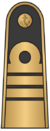 Antpetis juru 18 viceadmirolas.png