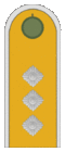 Belarus BKA 1944 parade - starshiy serzhant.gif