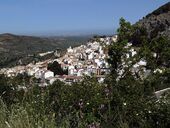 CazTorres1.jpg