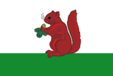 Флаг