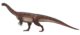 Massospondylus reconstruction.png