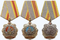 Order of Labour Glory Full Set.png