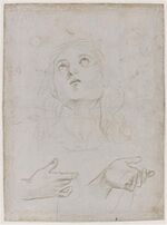 Raphaël - Tête de jeune homme regardant vers le haut et deux mains.jpg