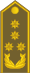 18-APM-GEN.svg