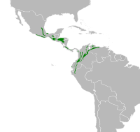 Arremon brunneinucha map.svg