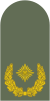 Dienstgrad Bundeswehr Heer 311 Brigadegeneral.svg