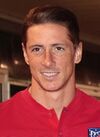 Fernando Torres 2017.jpg