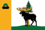 Flag of Ermishinsky rayon (Ryazan oblast).png