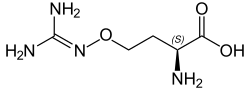 L-S-Canavanine.svg