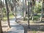 Terra Ceia FL Madira Bickel SP02.jpg