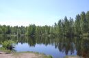 The Sosnovka Park-6.jpg