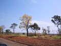 Uberlândia-MG 002- 49.jpg