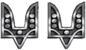 Емб спец сил (2016).png